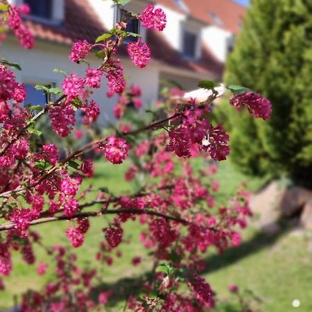 Schlossparkhotel Sallgast Bagian luar foto