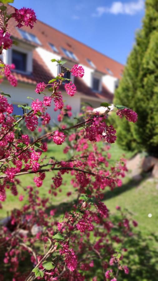 Schlossparkhotel Sallgast Bagian luar foto